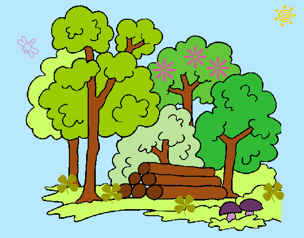 Desenho Bosque pintado por Pancakey