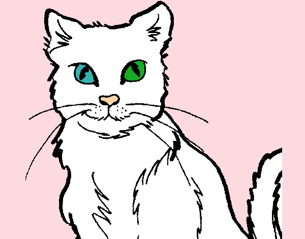 Desenho Gato pintado por Laira