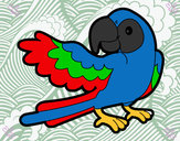Desenho Papagaio abrir a asa pintado por redetho
