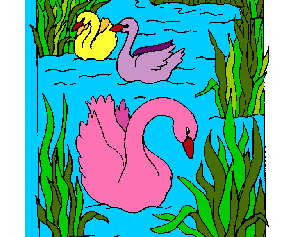 Desenho Cisnes pintado por jacke