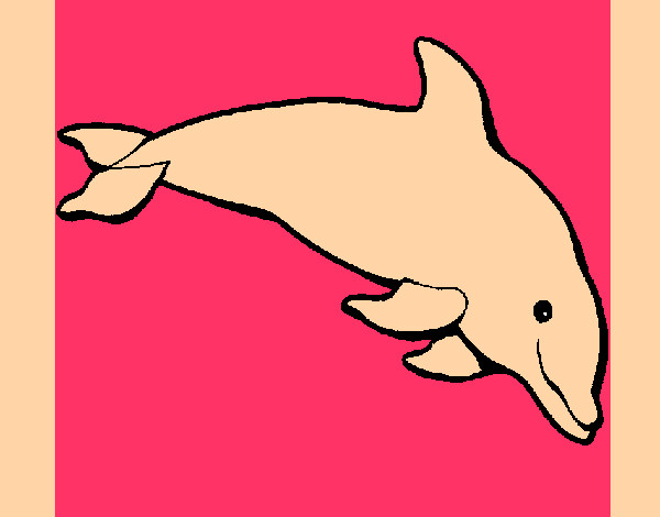 Desenho Golfinho contente pintado por AnaDani