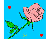 Desenho Rosa pintado por agata