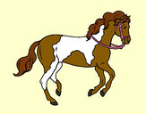 Desenho Cavalo 5 pintado por lari2505