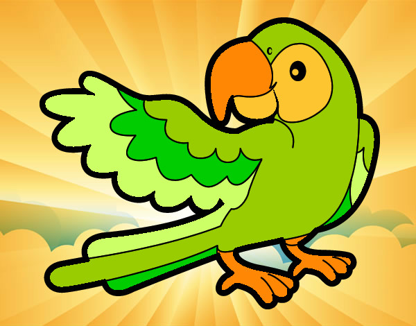 Desenho Papagaio abrir a asa pintado por metss
