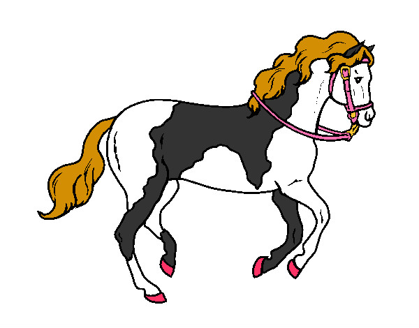 Desenho Cavalo 5 pintado por Giulia