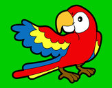 Desenho Papagaio abrir a asa pintado por suzani