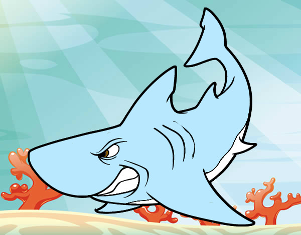 Desenho Tubarão furioso pintado por ediuilson