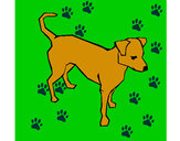 Desenho Cão 6a pintado por thara
