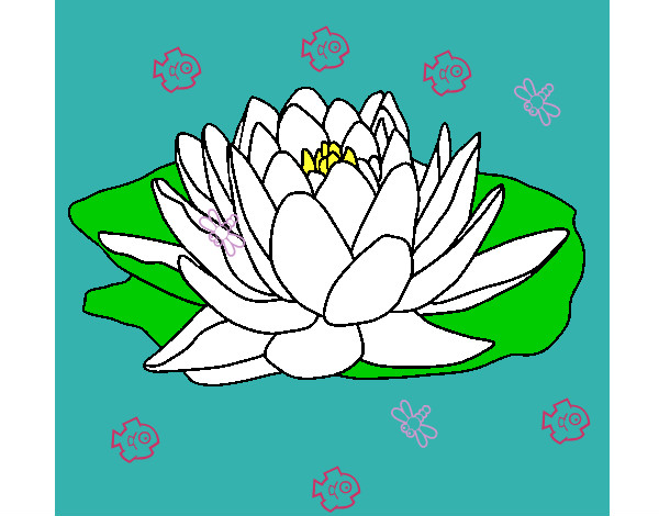 Desenho Nymphaea pintado por thara