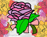 Desenho Rosa, flor pintado por wilma 