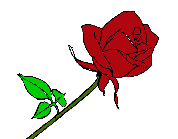 Desenho Rosa pintado por Francy
