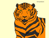 Desenho Tigre pintado por vovocelso