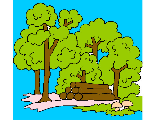 Desenho Bosque pintado por victo