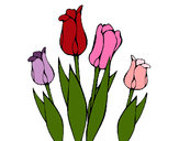 Desenho Tulipa pintado por silana
