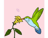Desenho Colibri e uma flor pintado por thainabn