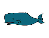 Desenho Baleia azul pintado por LUCCAS
