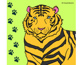Desenho Tigre pintado por Cintia