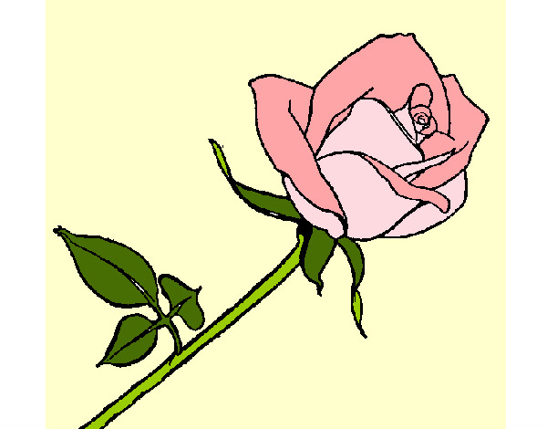 Desenho Rosa pintado por Euri