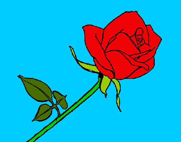 Desenho Rosa pintado por Leal