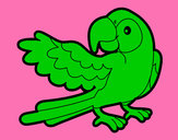 Desenho Papagaio abrir a asa pintado por Giovanna12