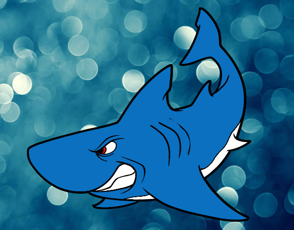 Desenho Tubarão furioso pintado por lucky