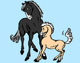 201229/cavalos-animais-a-quinta-pintado-por-sara7720-1016289_163.jpg
