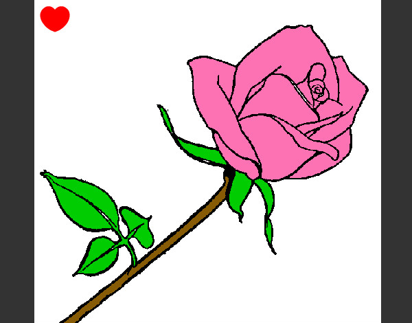 Desenho Rosa pintado por gesilane 