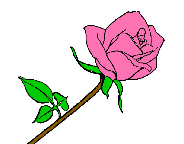 Desenho Rosa pintado por teresamilk