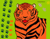 Desenho Tigre pintado por gamulyah