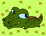 Desenho Crocodilo pequeno pintado por hyuna
