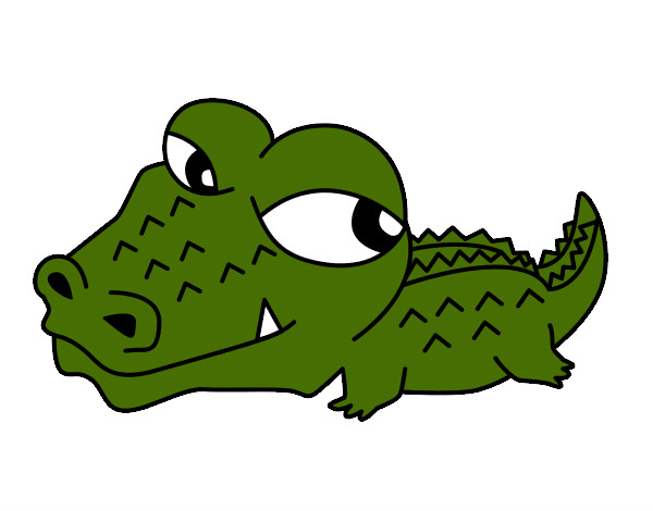 Desenho Crocodilo pequeno pintado por mirella
