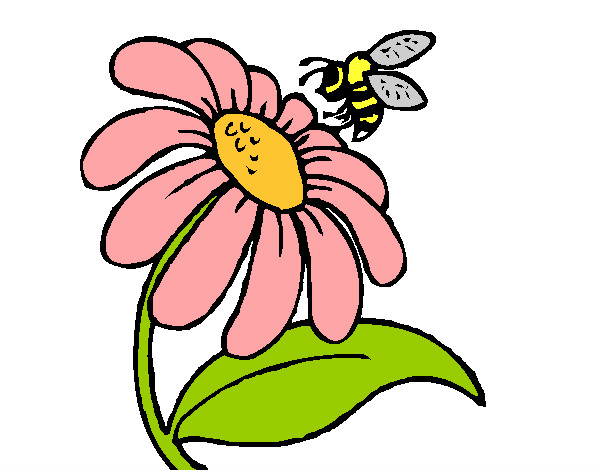 Desenho Margarida com abelha pintado por alexandra