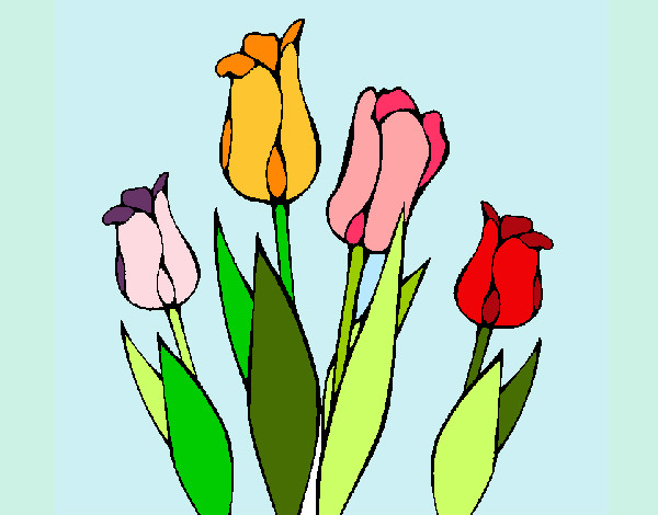 Desenho Tulipa pintado por alexandra