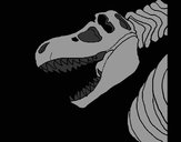 Desenho Esqueleto tiranossauro rex pintado por netan
