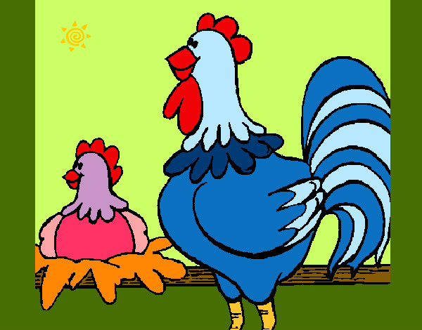 Desenho Galo e galinha pintado por missmirim