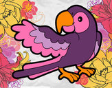 Desenho Papagaio abrir a asa pintado por missmirim