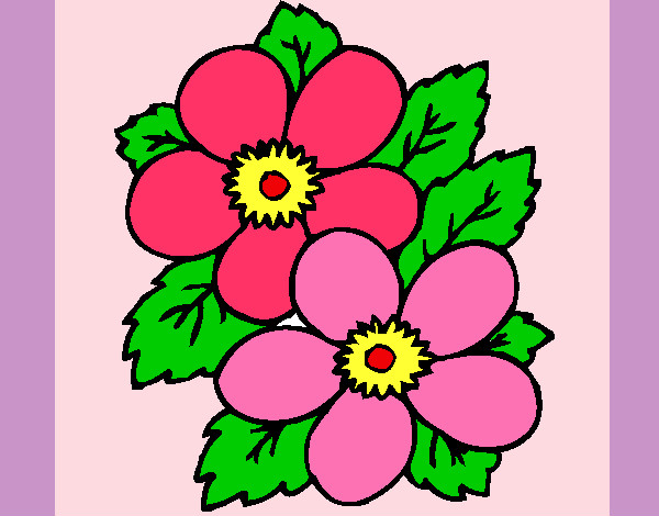 Desenho de flores primavera pintado e colorido por Vanderleia o dia 21 de  Agosto do 2012