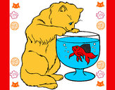 Desenho Gato a olhar para o peixe pintado por renatopant