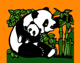 Desenho Mamã panda pintado por ImShampoo