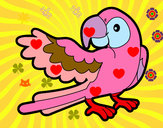 Desenho Papagaio abrir a asa pintado por blenda