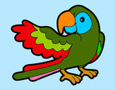 Desenho Papagaio abrir a asa pintado por damyellen