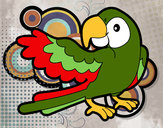 Desenho Papagaio abrir a asa pintado por Helen2012