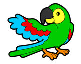 Desenho Papagaio abrir a asa pintado por ReiDavi