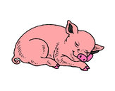 Desenho Porco a dormir pintado por fabiloucaa