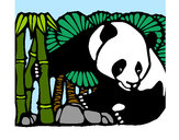 Desenho Urso panda e bambu pintado por ReiDavi