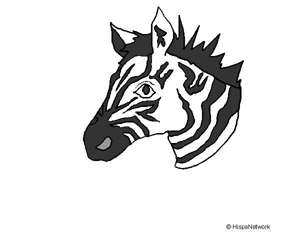 Desenho Zebra II pintado por ReiDavi