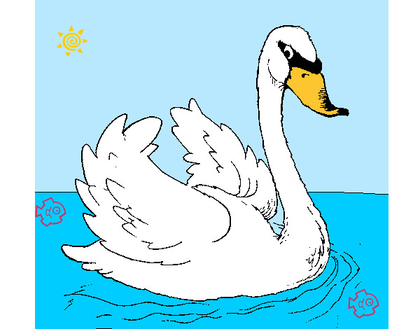 Desenho Cisne na água pintado por raquel123