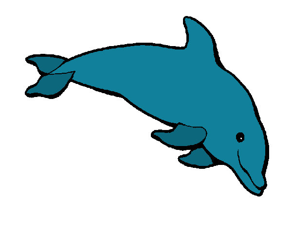 Desenho Golfinho contente pintado por GENIKELLY