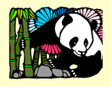 Desenho Urso panda e bambu pintado por dhebora