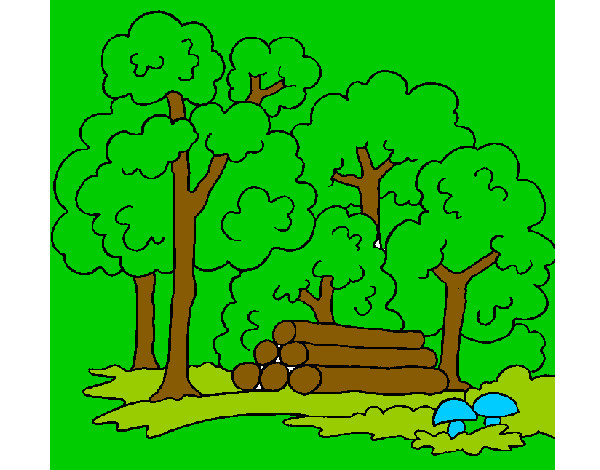 Desenho Bosque pintado por Thaynne
